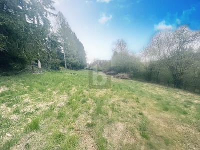 FREIZEITGRUNDSTÜCK AM NATURSCHUTZGEBIET - Grundstück Calw | Angebot:27022733
