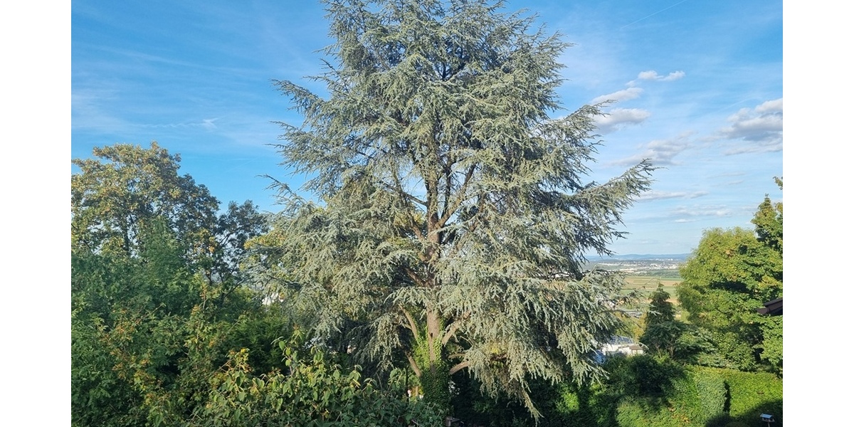 Aussicht