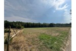 Schönes Gartengrundstück mit 2-Zimmer-Gartenhaus, Schuppen und Baumhaus in S-Hoffeld beim Weidachtal - Grundstück Stuttgart / Hoffeld Hoffeld (Stadtteil) | Angebot:27244566