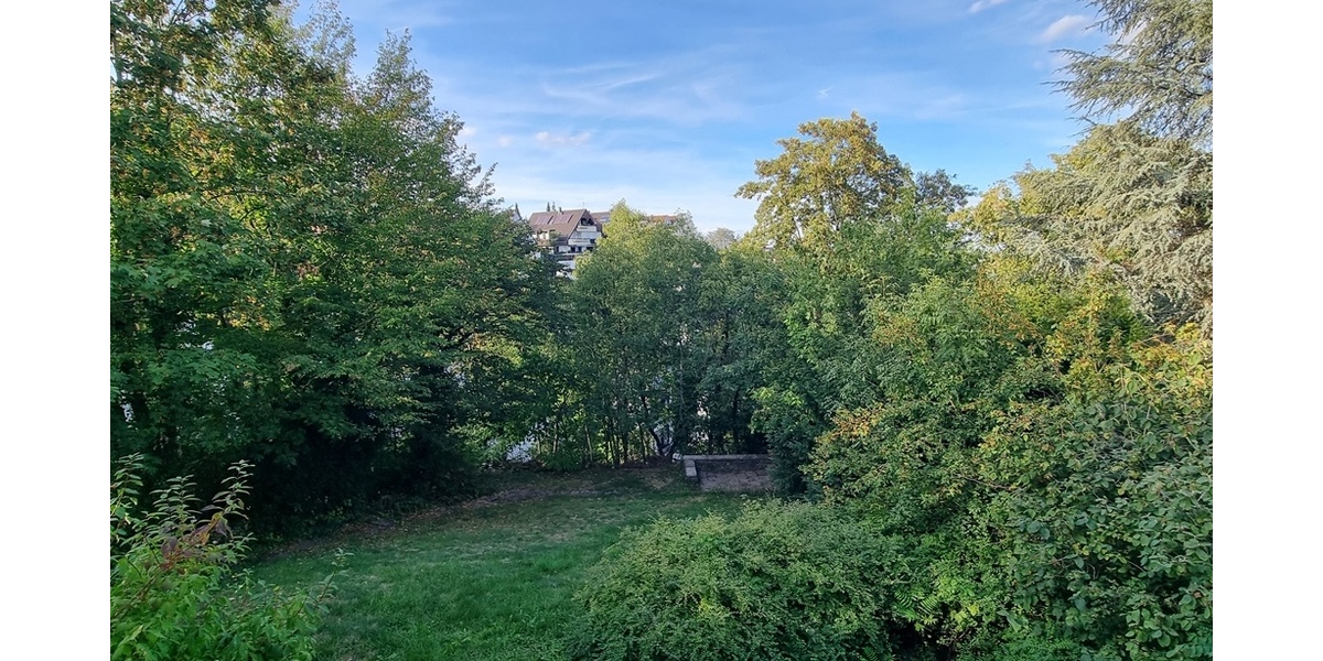 Garten I